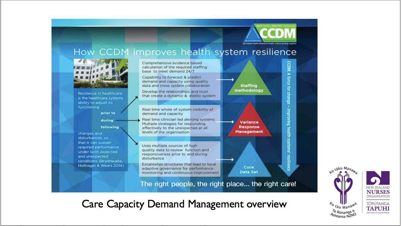 FIQ International Panel - slides5 copy.jpg
